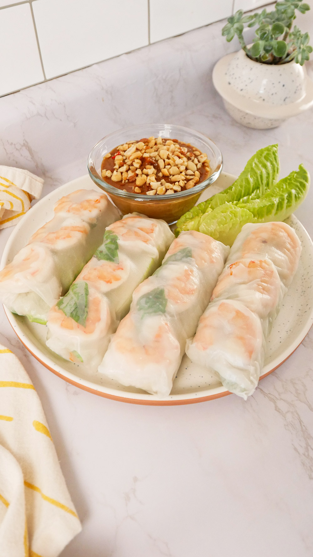 shrimp-summer-rolls