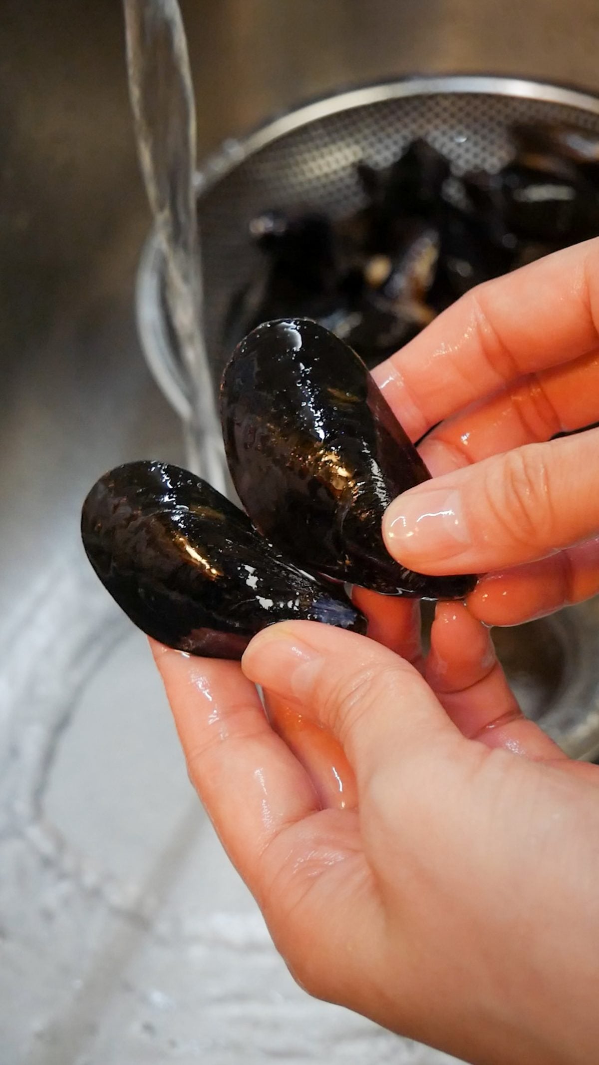 Mussell Rake Sake Mussels Recipe - Jecca Chantilly