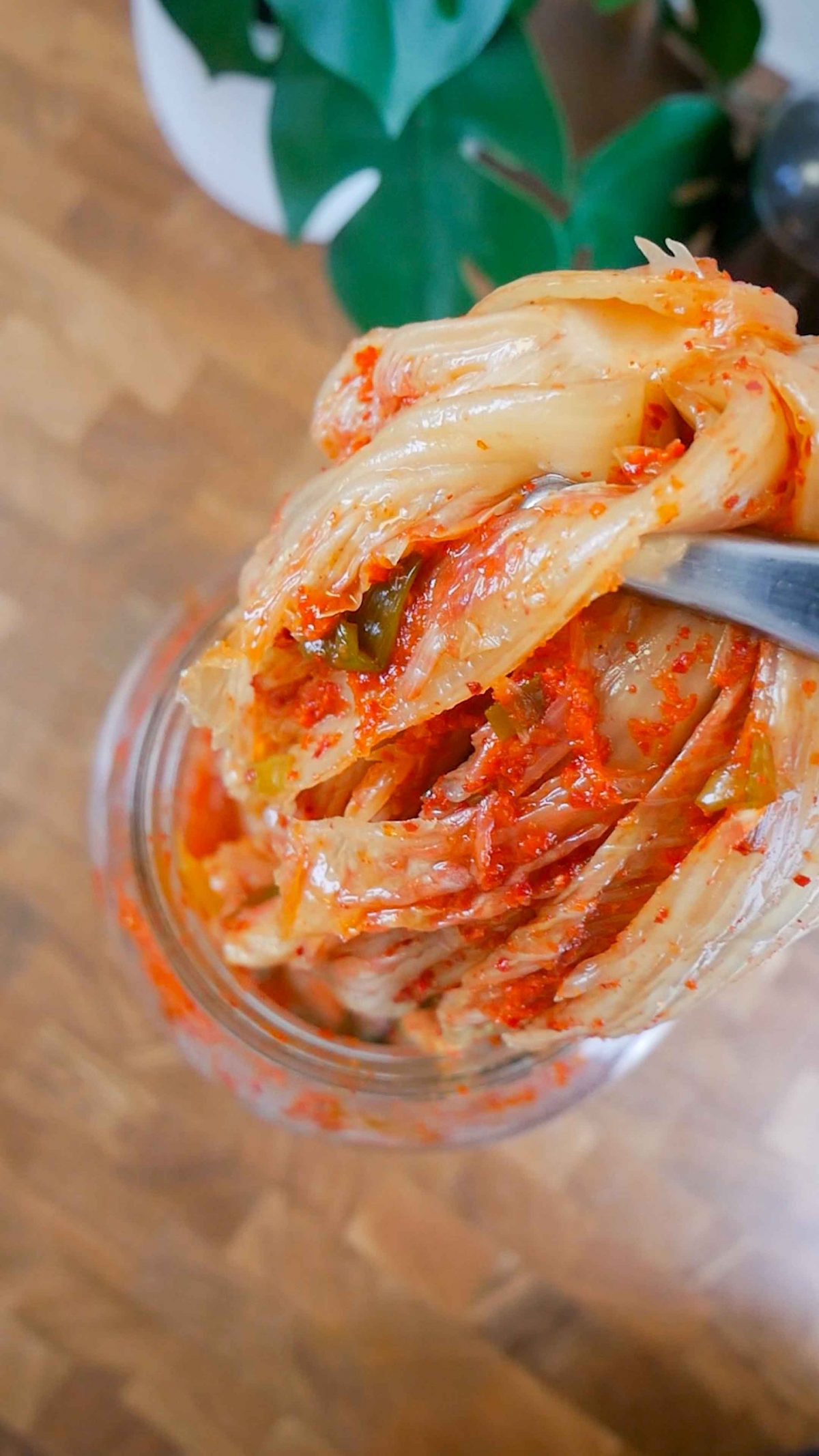 Braised Pork Kimchi Jjim Recipe - 등뼈 김치찜 - Jecca Chantilly